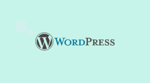 Read more about the article How to install a WordPress Theme